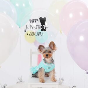 スタジオ・フォトスタジオの背景装飾