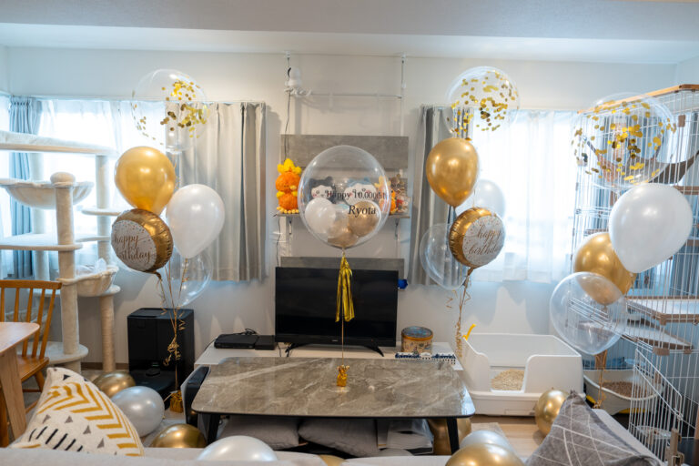 10,000 Days Anniversary Birthday Surprise Decoration