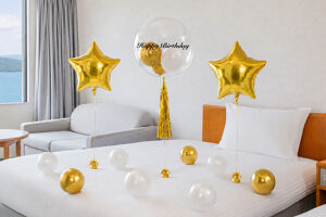 Balloon Decoration Set ¥14,650