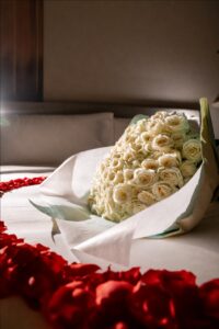propose-options-05.jpg