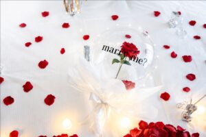 propose-options-06.jpg