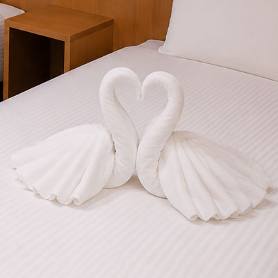 Swan